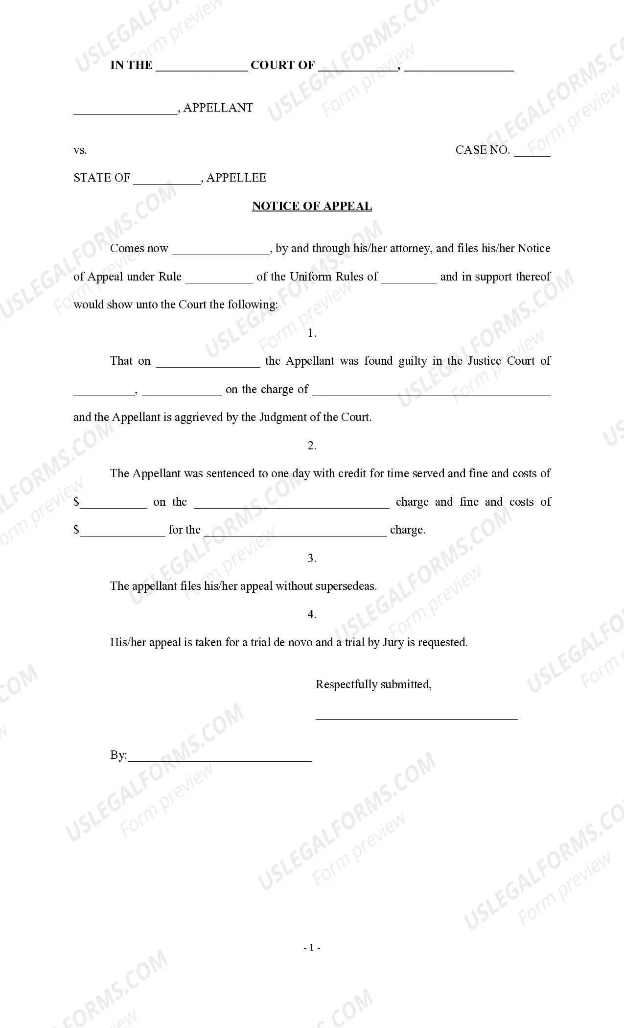 Notice of Appeal in a Criminal Case Thumbnail